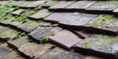 Myrtle Hill roof repair costs